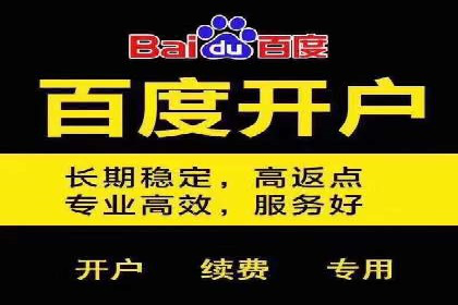 竞价广告赚钱：百度平台成功案例分析